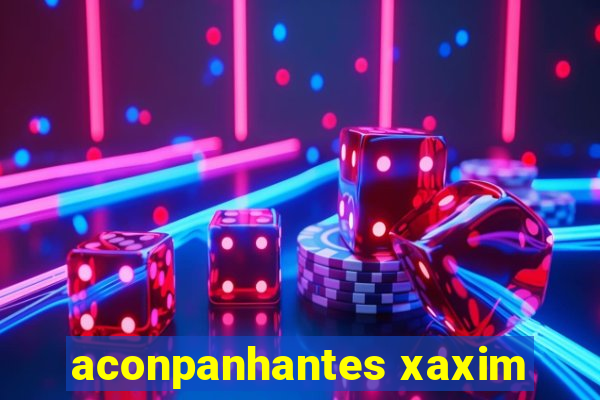 aconpanhantes xaxim